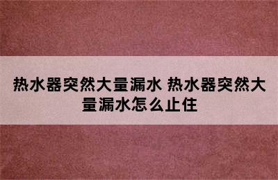 热水器突然大量漏水 热水器突然大量漏水怎么止住